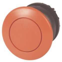 PADDESTOEL ROOD VAST RING ZW.