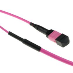 DC5006 60M MTP(F) 50/125 OM4 PA TR