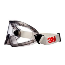 2890 Goggle PC CLEAR AS/AF (10/case)