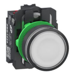 Verlichte drukknop, Harmony XB5, Plastic, wit Vlak, 22mm, universele L