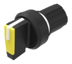SelSW P L<gt/>C<lt/>R Short 2x45 YE
