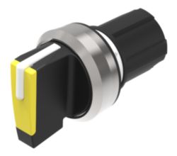 SelSW MP L-C<lt/>R Short 2x45 YE