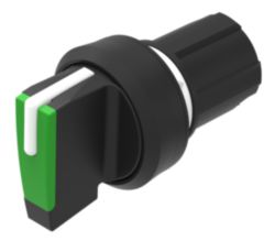 SelSW P L-R Short 90V GN