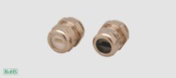 KVA-ASI-MS PG13,5 White, right (50 Stuks)