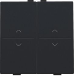 Double key with 'up' and 'down' arrows for wireless switch or push but