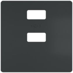 DELTA style cover plate for double USB charger vertical, carbon metallic