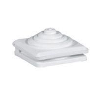 Ekinoxe snijwartel v 001301tm001308