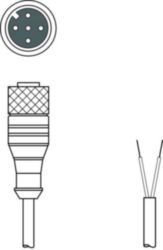 Aansluitkabel KD PB-M12-4A-P3-100