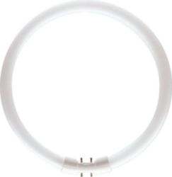 FLUORESCENTIELAMP 22W/840 CW ROND 231MM