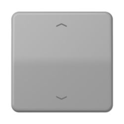 LB taster CD 1v stand. grijs pijl