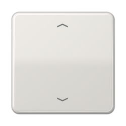 LB taster CD 1v stand. lichtgrijs pijl