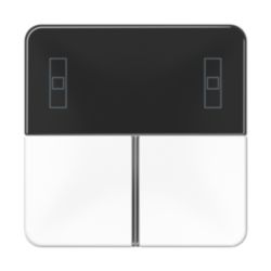 KNX RCD compact tastafd. CD alpinwit