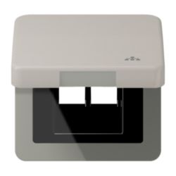 Klapdeksel CD500 platina met symb.LAN