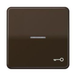 Schakelwip CD500 br.m.lens&sleutelsymb.