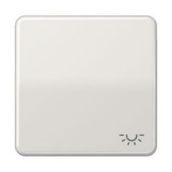 Schakelwip CD500 li.grijs m.lichtsymbool