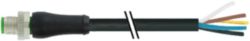 M12 Power K-coded male 0° with cable PUR 5x1.5 bk +drag chain 0,6m