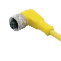 Aansluitkabel met connector female; Voedingsspanning <lt/> 250 V AC; 10 m; P