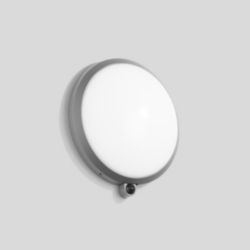 Wandarmatuur met PIR-sensor, voor binnen- en buiten, Zilver 4000 K