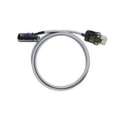 PAC-CJ1W-RV12-V0-1M