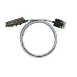 PAC-S300-RV24-V0-3M