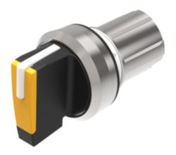 SelSW M L<gt/>C<lt/>R Short 2x45 AM