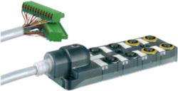 EXACT12 SAFETY, M12 5P LED, P5-8 M12 4/3-pol 1:1 no LED, 10m PUR/PVC