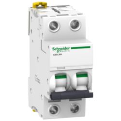 iC60L 2P MA 6,3A