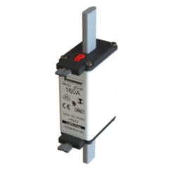 Fuse-link, low voltage, 160 A, AC 500 V, 120 kA, NH01, gL/gG, IEC, dual indicator, insulated gripping lugs