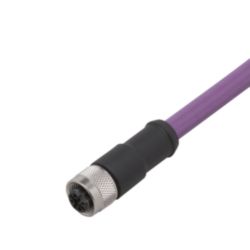 Aansluitkabel met connector female; Voedingsspanning <lt/> 30 V AC; 2 m; PUR