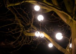 LED Party Balls Light String 7.7M 10pcs G100 2500K IP67